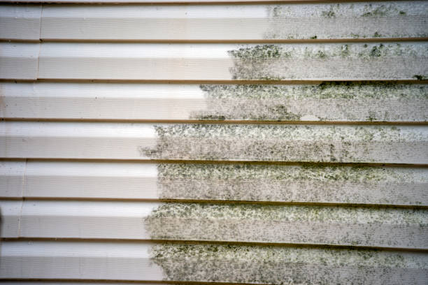 Best Historical Building Siding Restoration  in Piru, CA