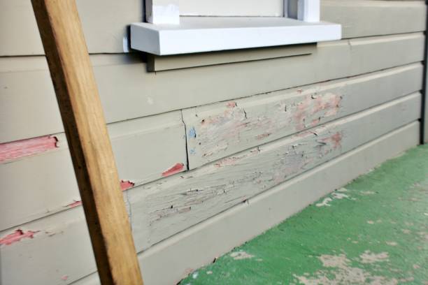 Affordable siding repair and maintenance services in Piru, CA